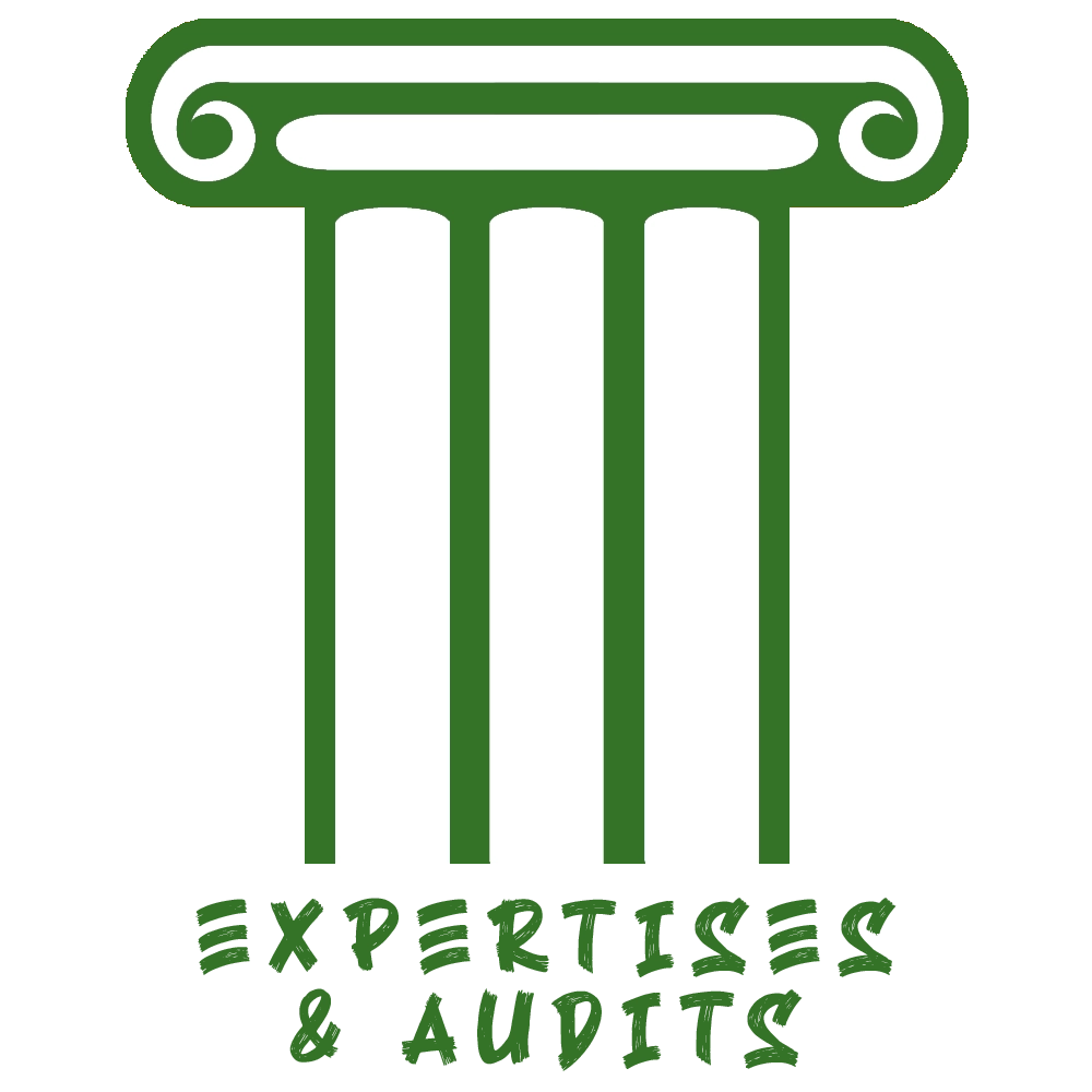 Logo - Cabinet Zwartjes - Services - expertises & audits