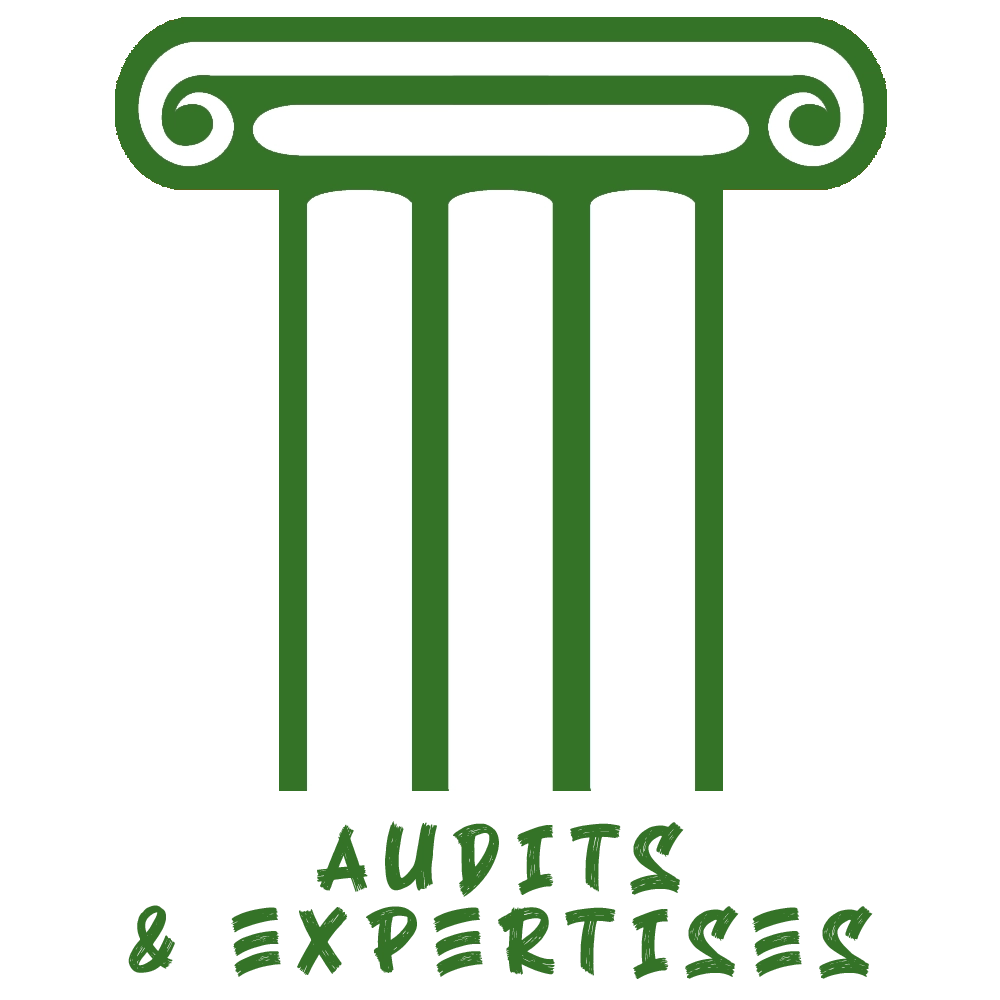 Logo - Cabinet Zwartjes - Services - expertises & audits
